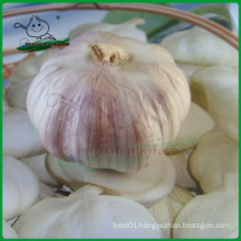 Fresh garlic Chinese/Normal white garlic/Jinxiang Garlic